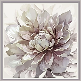 Zâren ‘Eşarp’